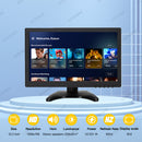 LESOWN N133 Widescreen 13.3 inch Full HD 1920x1080 IPS Screen LCD Monitor Video Input with Speakers