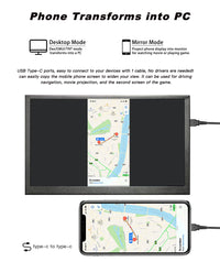 LESOWN P101D 10.1 inch Wide Monitor 1024x600 IPS Monitor with Stand Portable mini Display for Laptop