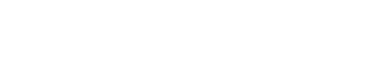 LESOWN Display logo