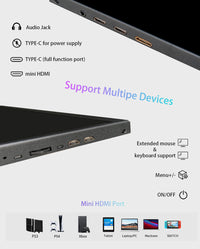LESOWN P89GPT 8.9 inch Portable USB C Monitor IPS 1920x1200 Touch Small Sub HDMI Display