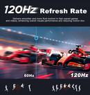 LESOWN P185KPR/P185KPTR 18.5 inch 120Hz Large Portable Gaming Monitor