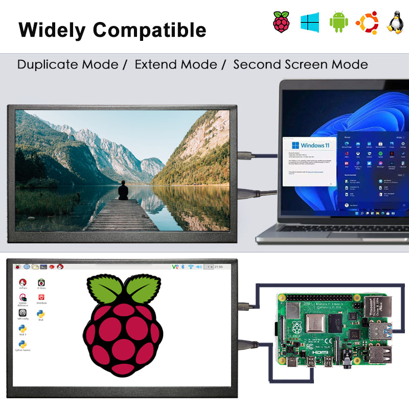 LESOWN P101C 10.1 inch Portable Monitor mini HDMI 1024x600 Portable Display with Speakers for PC Windows